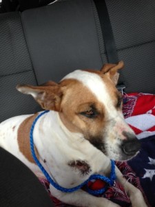 Millie's Freedom ride!