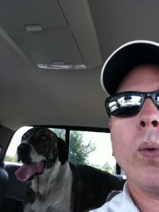 missing dog, cumming, found dog