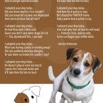 I Adopted Your Dog Today - Jack Russell Rescue