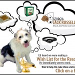 Amazon Wish List for the Rescues