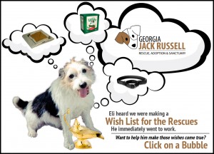amazon-wish-list-jack-russell-rescue