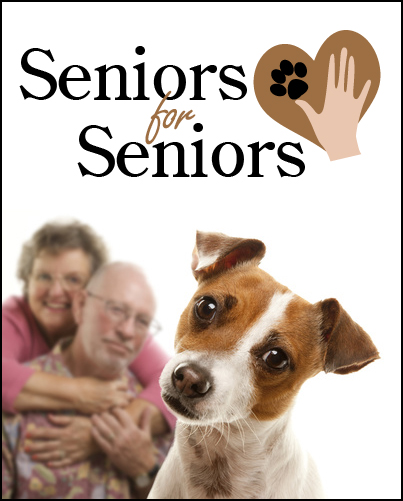 Seniors for Seniors Program - Georgia Jack Russell