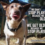 We don't stop playing because we get old. We get old because we stop playing.