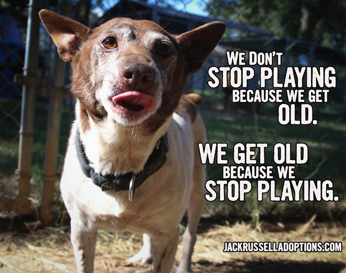 We don't stop playing because we get old. We get old because we stop playing.