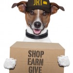 Shop for Jack Russells with SocialVest