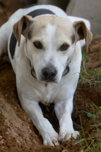 Peyton waited for 5 long years for his forever family.