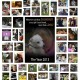 2013 Photo Collage of Rescue