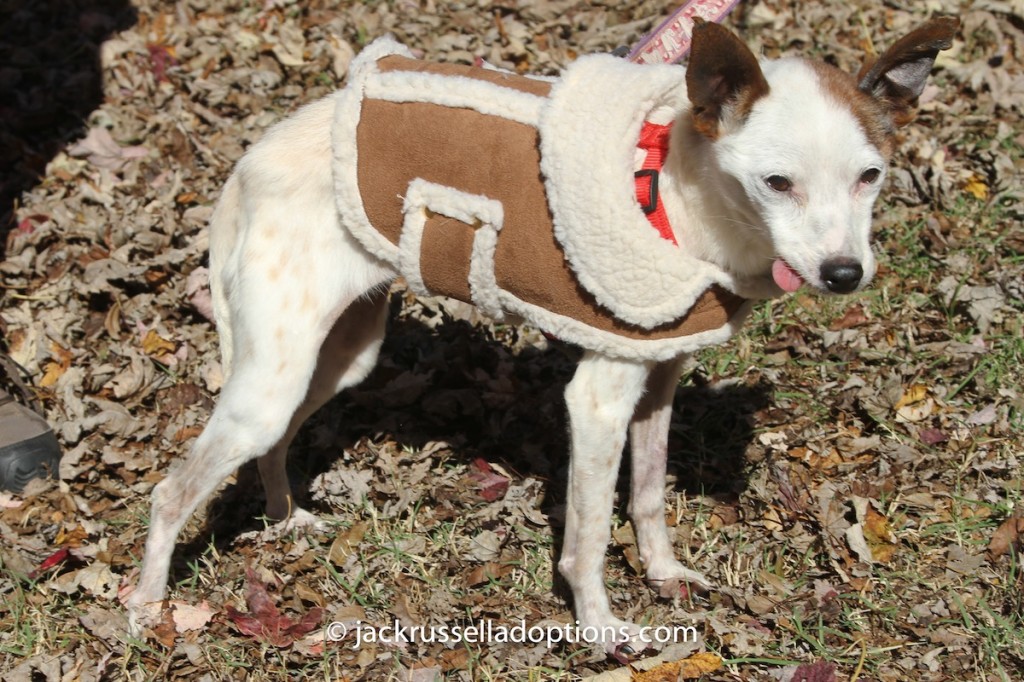 Chloe in her little jacket in November.