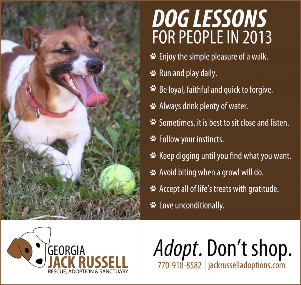 dog-lessons-2013