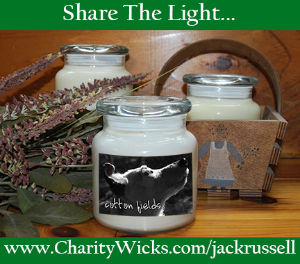 Share the light. Buy a candle and support Georgia Jack Russell Rescue, Adoption and Sanctuary.
