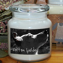 Buy candles to benefit Georgia Jack Russell Rescue, Adoption and Sanctuary