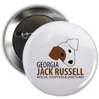 Jack Russell Buttons
