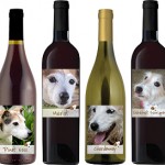 Georgia Jack Russell Rescue wines