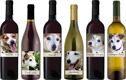 Georgia Jack Russell Rescue wines