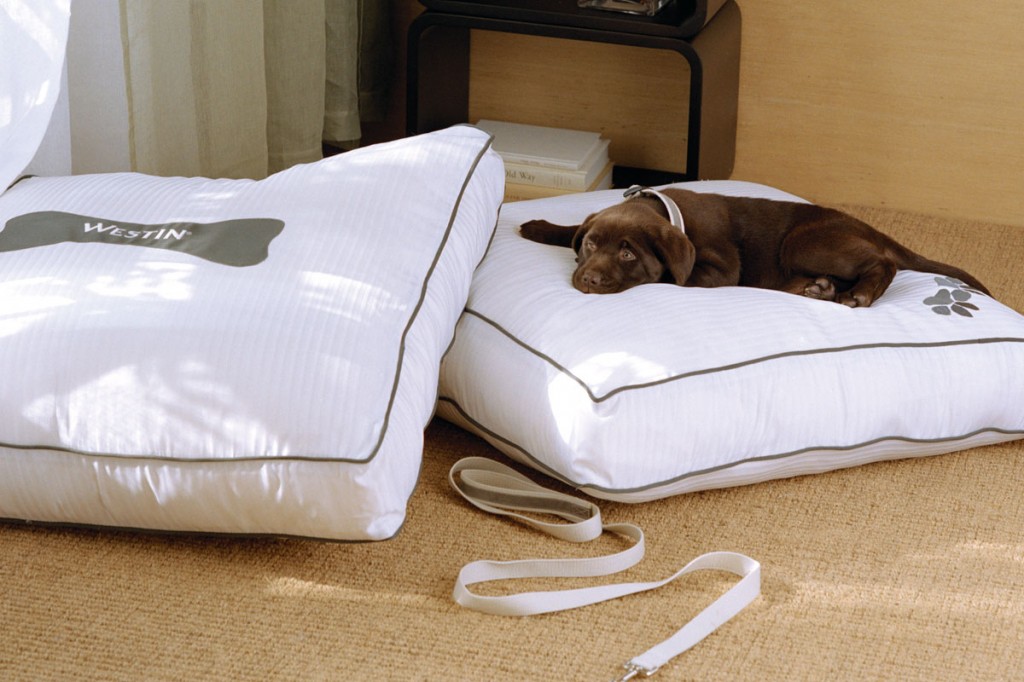 Westin Heavenly Dog Bed