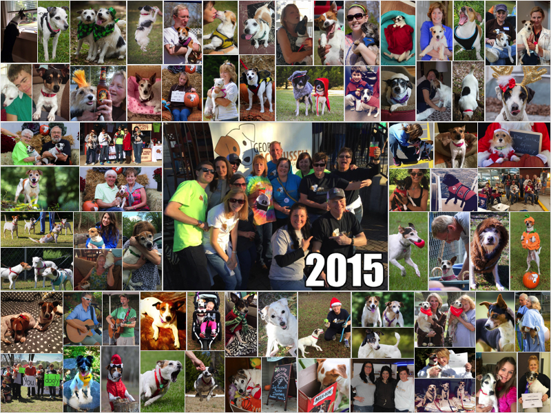 2015 Collage