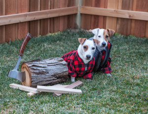 Lumber Jacks