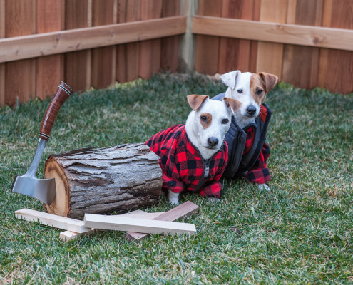 Lumber Jacks