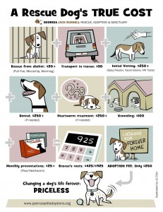 A Rescue Dog's Trust Cost by Georgia JRT and Lili Chin