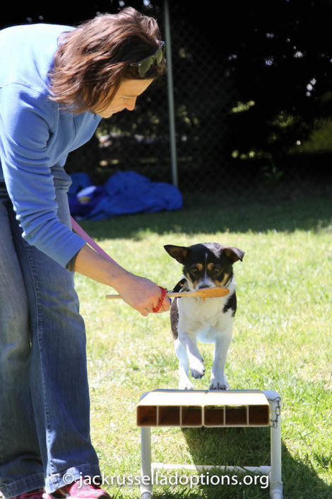 Jake learns agility