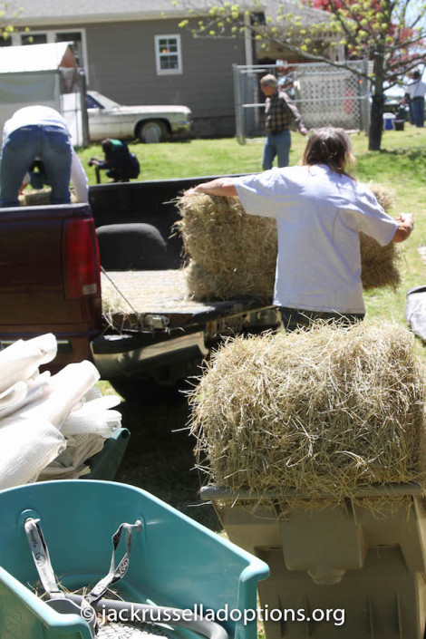 Hay arrives