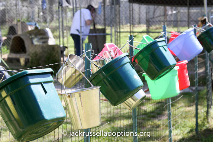 Clean water buckets