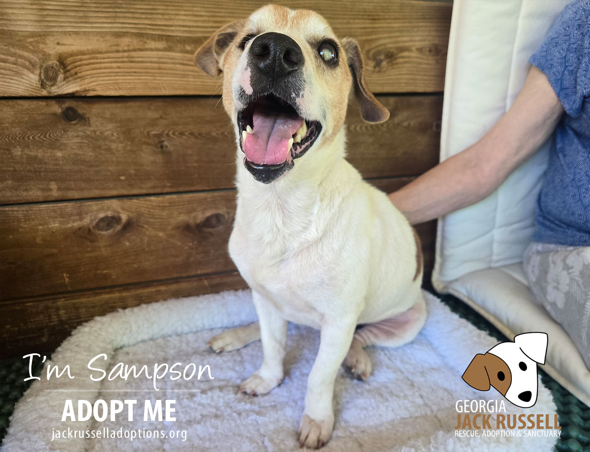 sampson