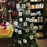 Angel Tree at Dog City II