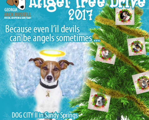 Angel Tree Drive 2017