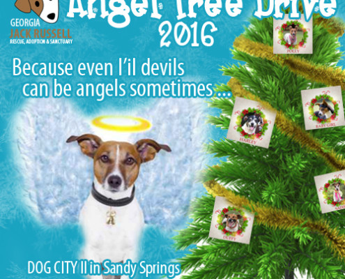 Angel Tree Drive 2016