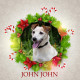 Angel Tree - John John