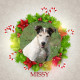 Angel Tree - Missy