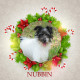 Angel Tree - Nubbin