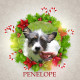 Angel Tree - Penelope