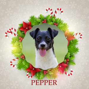 Angel Tree - Pepper