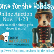 Home for the Holidays Online Auction