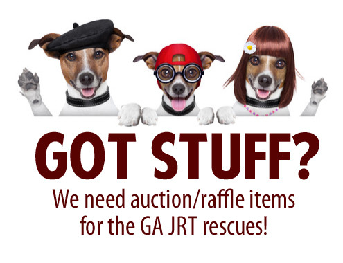 Auction Raffle Items Needed