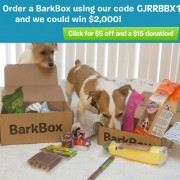 BarkBox Special