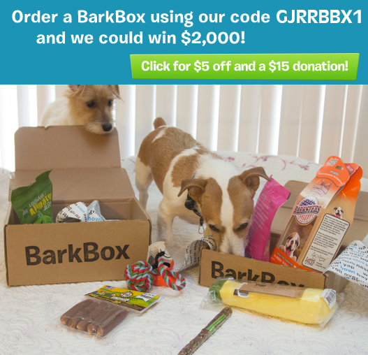 BarkBox Special
