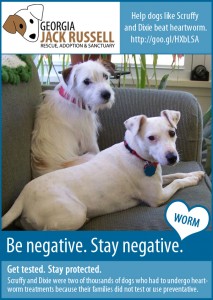 be-negative-stay-negative-scruffy-dixie