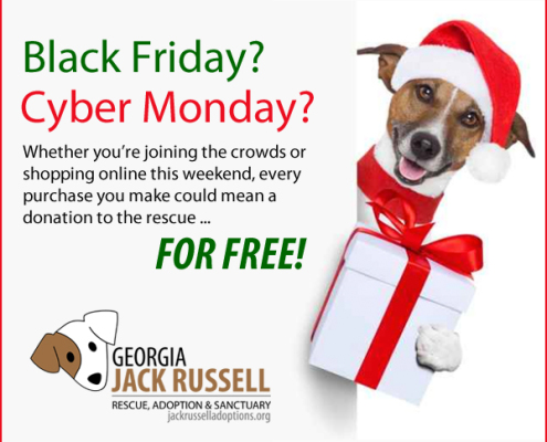 Shop on Black Friday and Cyber Monday and donate to the rescue ... for free!