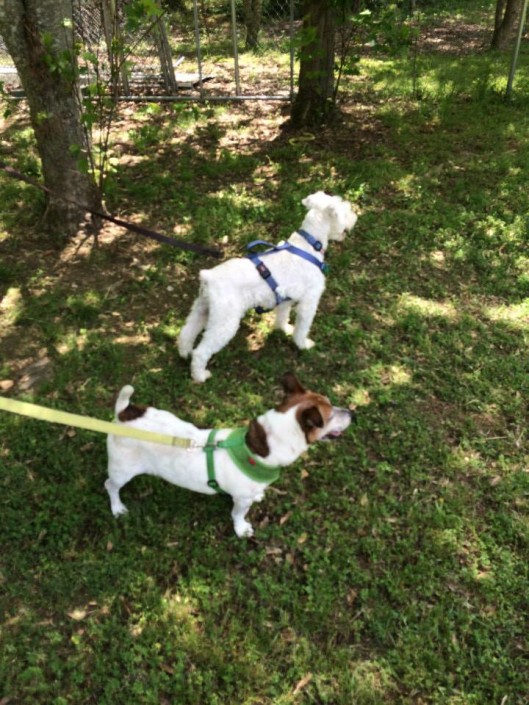 Max and Brooklyn meeting