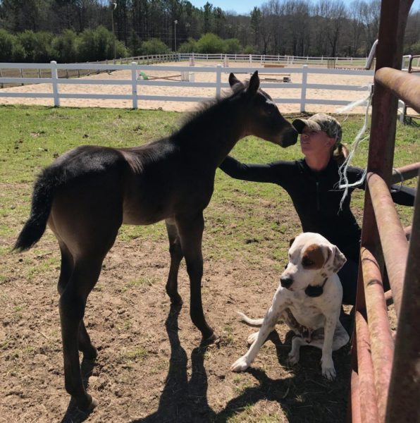 Brynn and Charlie, doing what they do