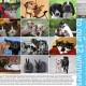Petco Calendar