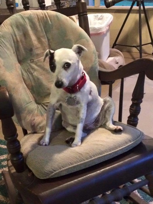 Chloe in her chair