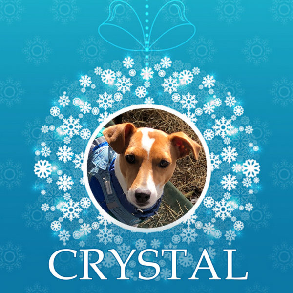 Crystal