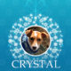 Crystal