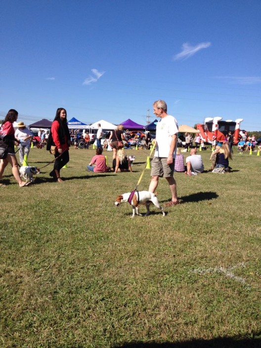 Doggie Palooza