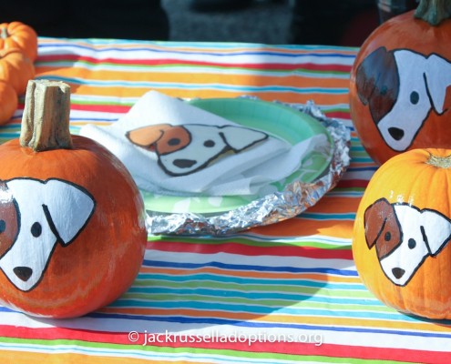 JRT Pumpkins