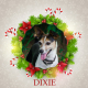 Dixie